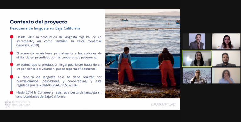Pesca ilegal de langosta en Baja California