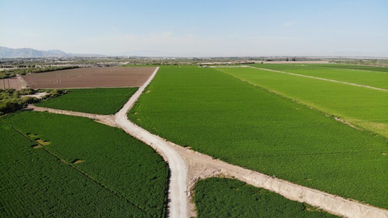Agrodesplazados: el costo de la cuenca lechera en La Laguna